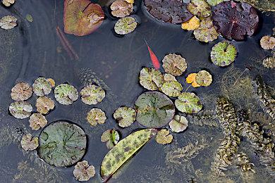 官方确认：《堕落之主》PS5和XSX＆S版支持60帧率运行